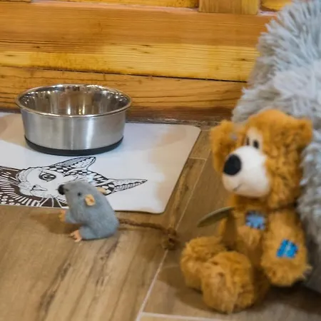 公寓 Ruh Sara By Ap *